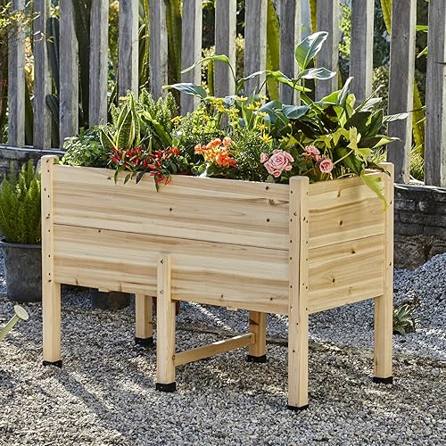 AMERLIFE Maceta de jardín elevada de madera de 15 pulgadas de profundidad 4 x 2 pies cama de jardín elevada con patas maceta elevada de jardín para