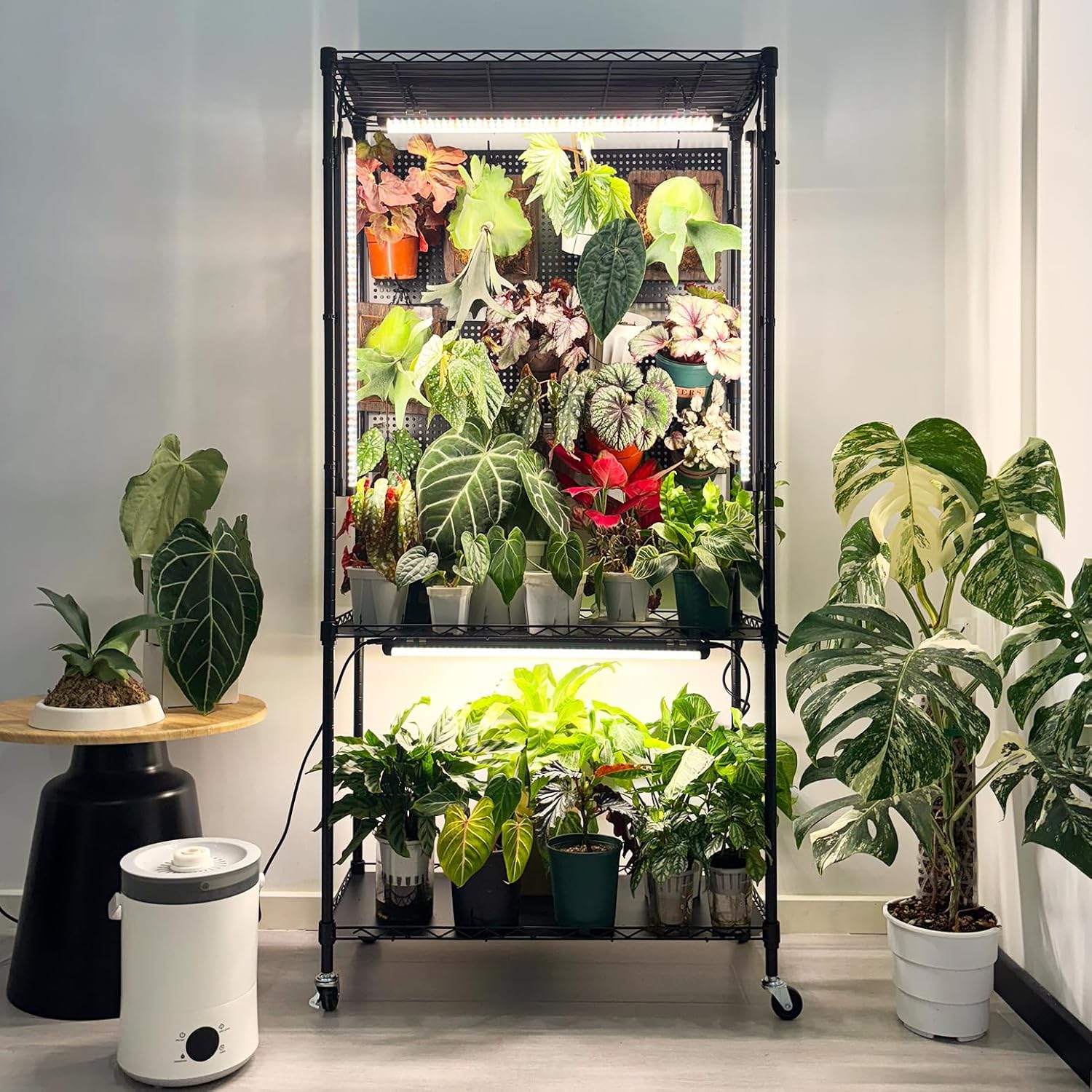 Bstrip Plant Shelf with Grow Light & Pegboard, Metal Plant Stand with Adjustable Rack and Wheels, 4 x 24W Full Spectrum Grow Light Strip for Indoor Plants, Foliage Plants, Seedling, 29.5"x13.8"x59" Pegboard Shelf with 4 Lights-29.5x13.8x59IN