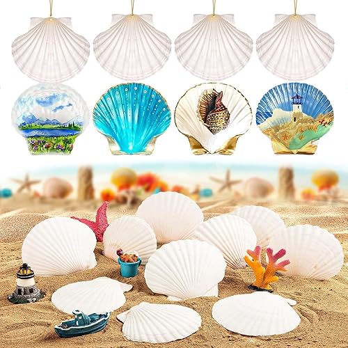 Miniatura 3 de 12 conchas de vieira naturales grandes de 4 a 5 pulgadas, conchas marinas blancas para manualidades, pintura a mano, fiestas temáticas oceánicas y