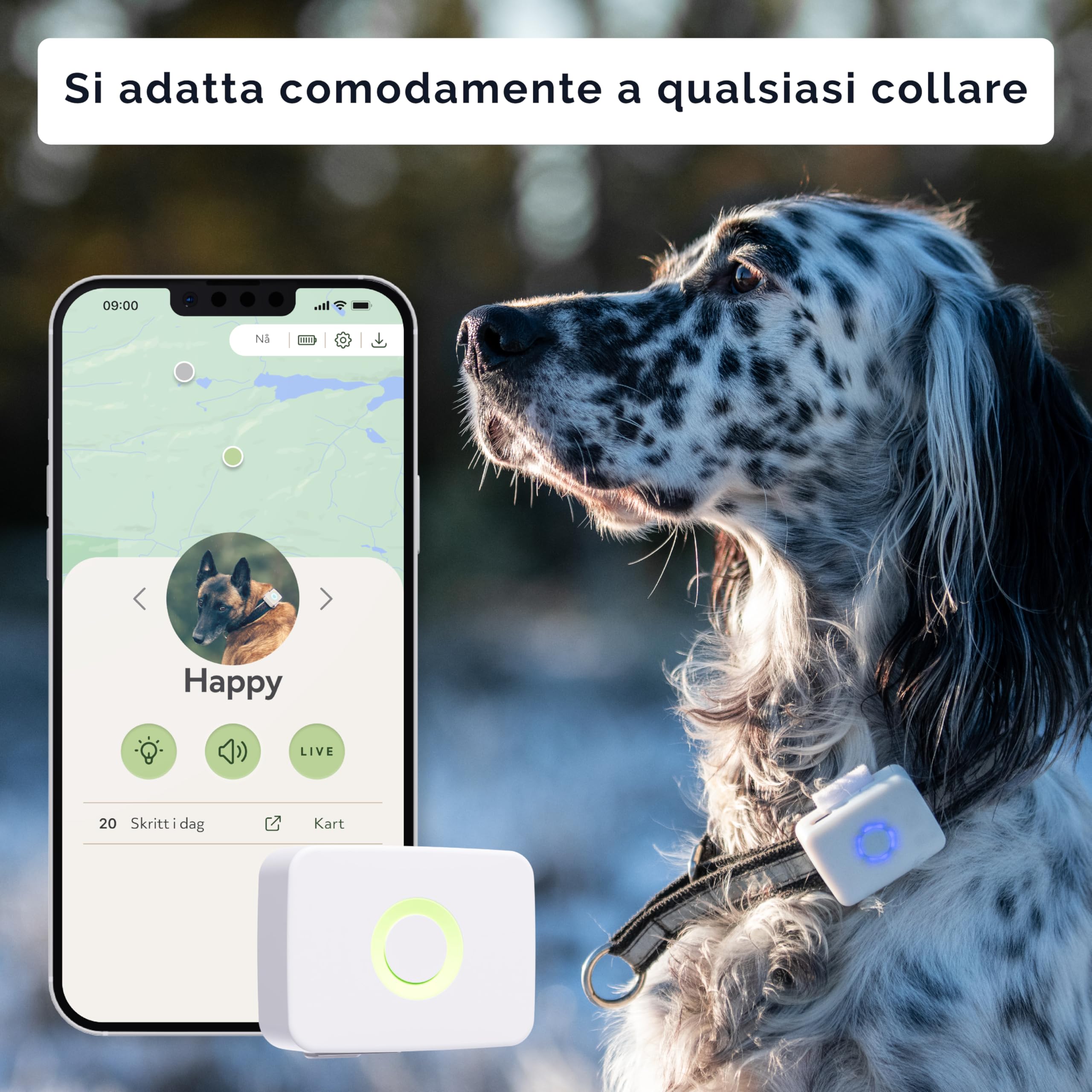 Lildog 2 GPS e activity tracker per cani, impermeabile, leggero, antiurto, tracciamento GPS in tempo reale e cronologia delle posizioni, contapassi e monitoraggio attività, prodotto in Norvegia, per