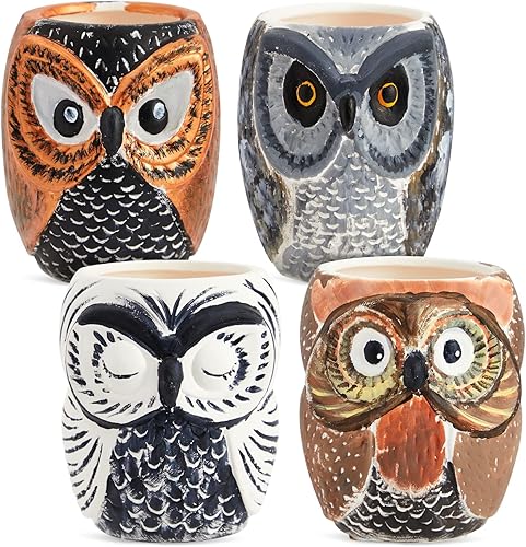 Miniatura 5 de Bright Creations Macetas de cerámica para suculentas de búho pintables, juego de 4, 3 x 3 x 4 pulgadas, cerámica blanquecina, agujeros de drenaje