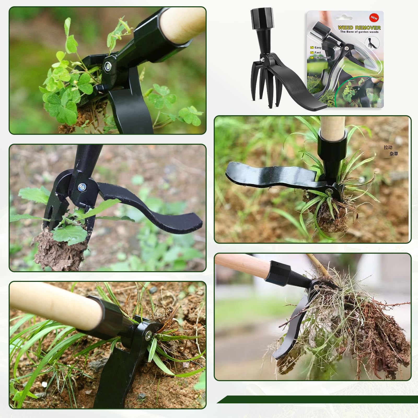 Désherbeur Manuel à 4 Griffes Amovible – Extracteur De Racines Debout Ergonomique – Jardin Sans Se Baisser