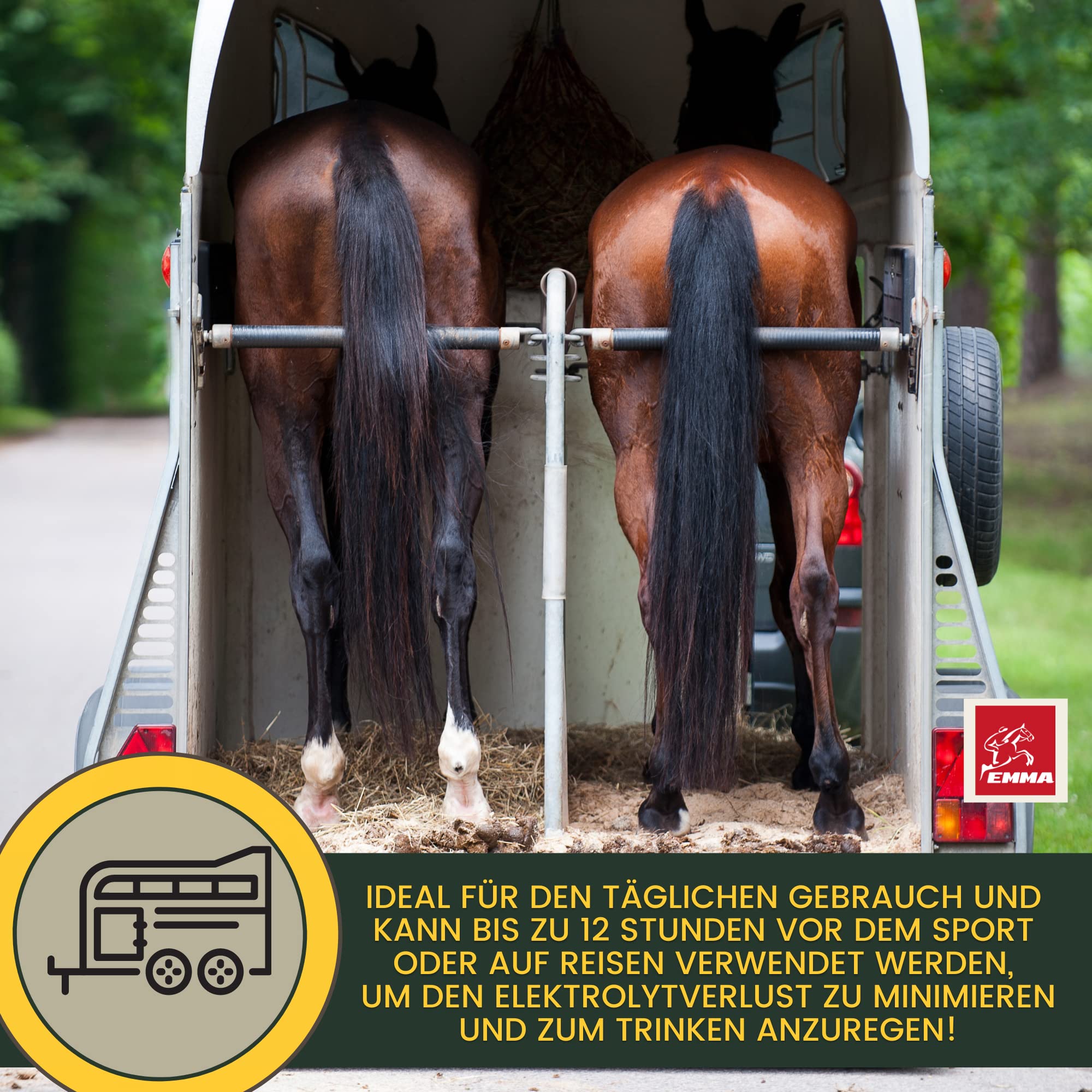 Electrolitos líquido + Pasta I electrolitos Caballo minerales Vitamina B12 oligoelementos I Sales de Sodio magnesio Caballo electrolitos diarrea vómito Agua sudoración Sales minerales Caballo 1L 30ml