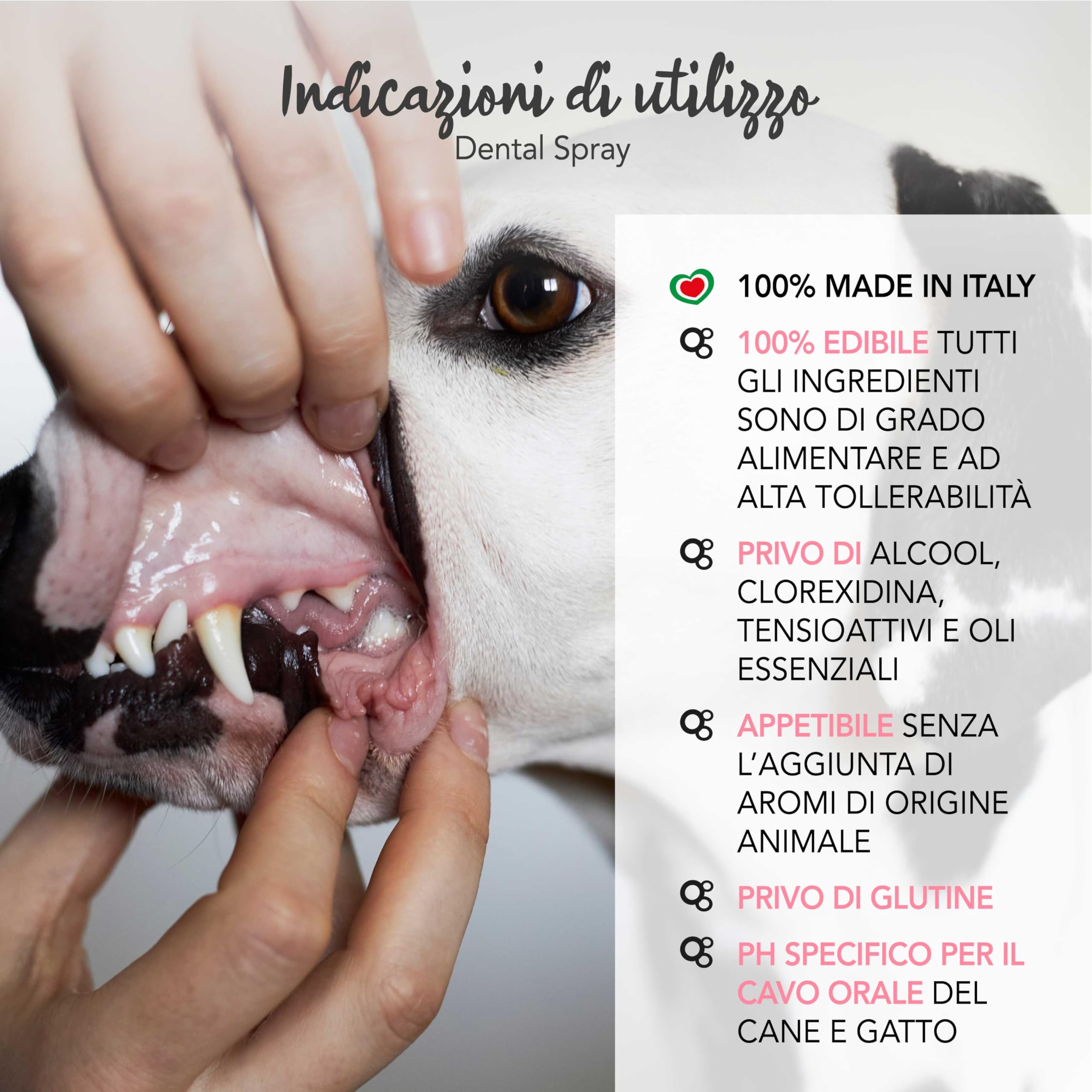 YUUP! Dental Spray 100 ml Dentifricio per Cani Spray Rimuovi Placca e Tartaro