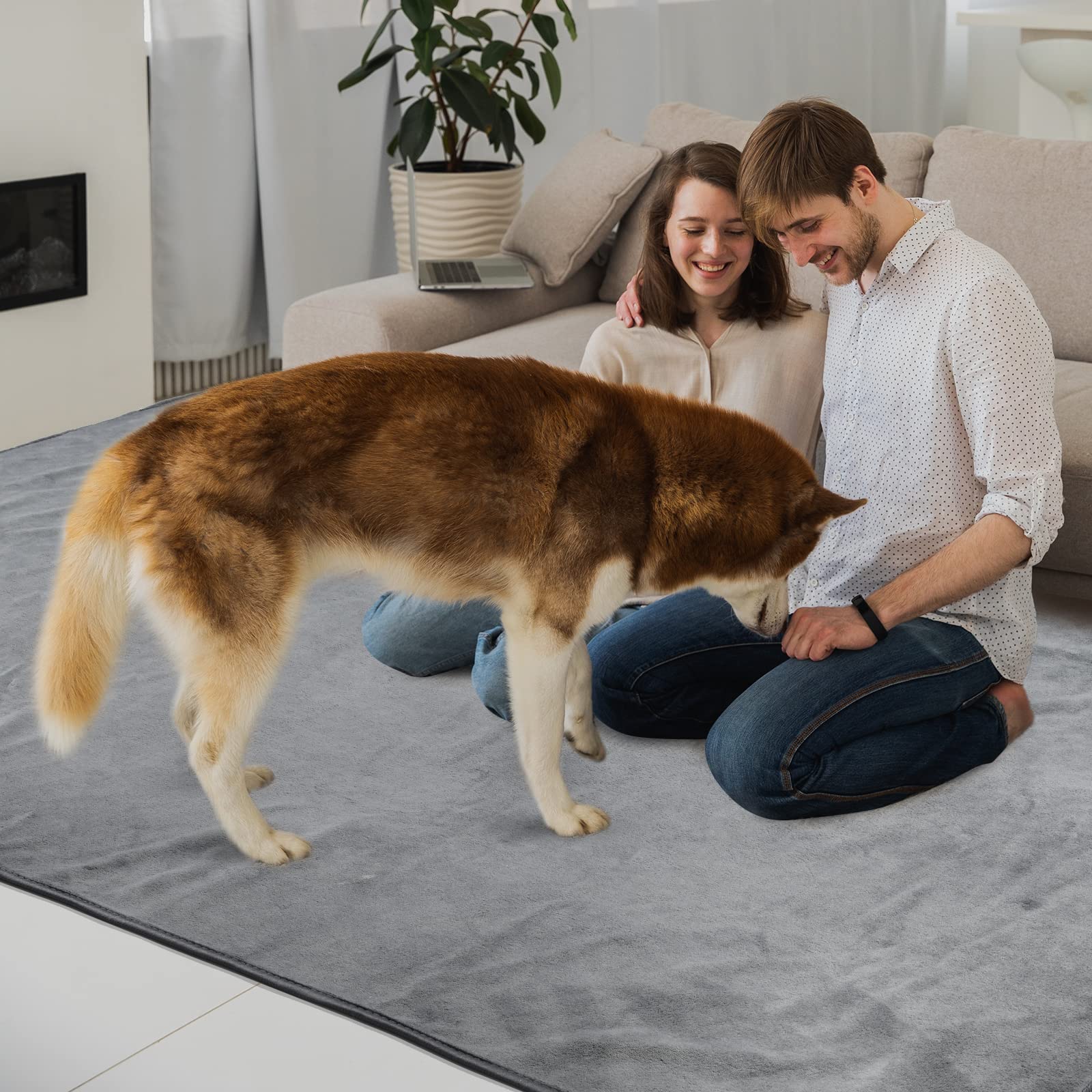 2 Empapadores Lavables para Cachorros, 104 x 104 cm, Absorbentes Rápidamente, para Mascotas, Reutilizables, para Entrenamientos para Cachorros, Grandes, Viejos o Perros Incontinentes
