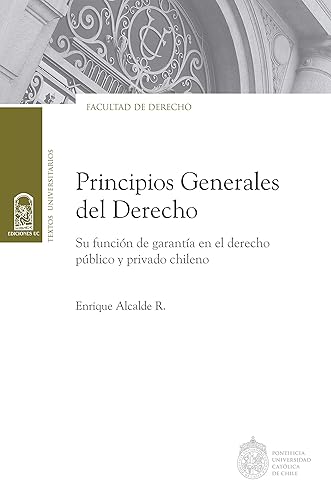 Principios generales del Derecho (Spanish Edition)