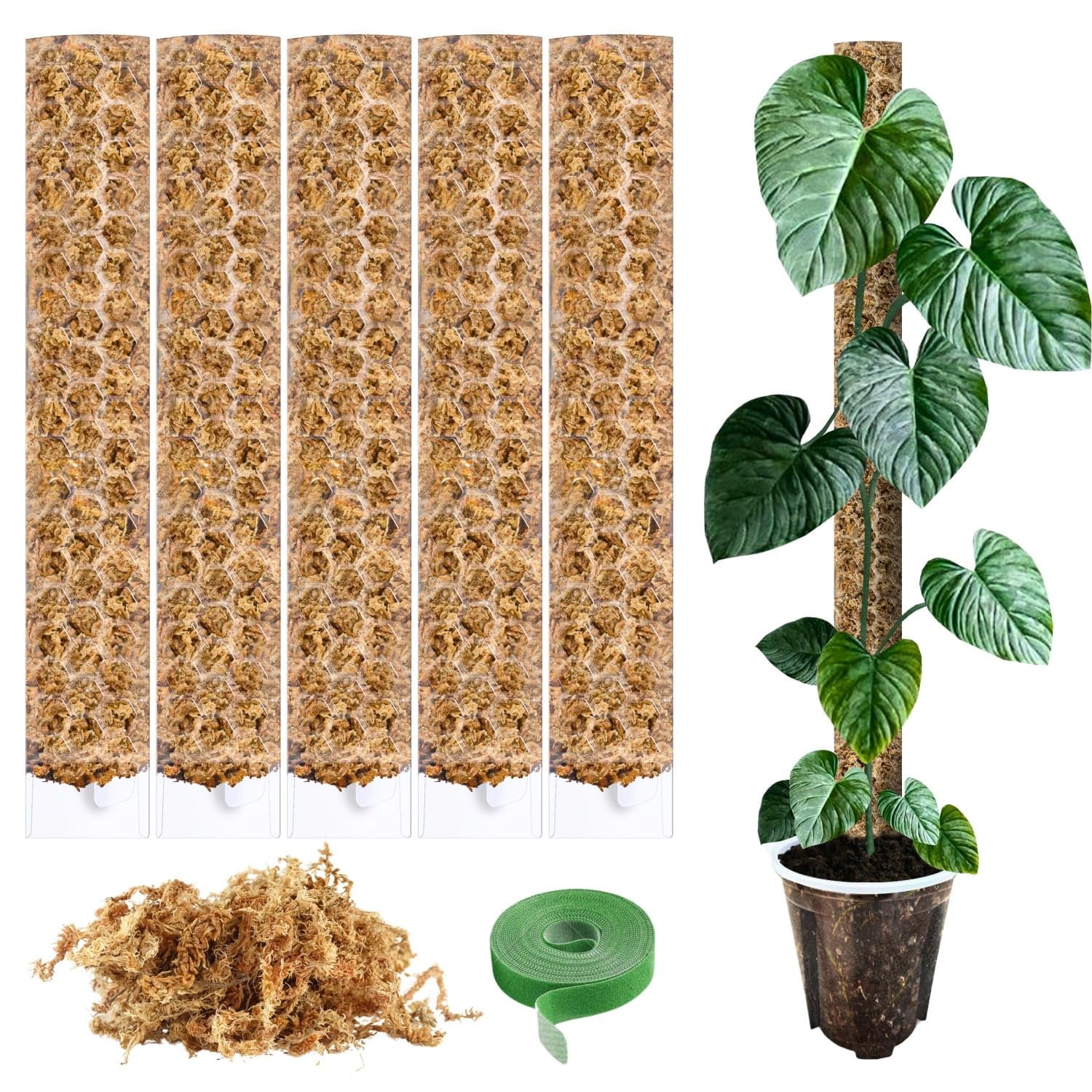 tuteur en sphaigne pour Monstera - Lot de 5 Tuteurs 39 x 6 cm Extensibles en Mousse de sphaigne - Idéal pour Monstera deliciosa et aroïdes - Supports en Mousse pour Plantes grimpantes