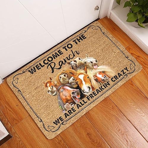 Agriism Tapete para puerta de entrada interior, porche de bienvenida, divertido tapete de franela de bienvenida a The Ranch House Group We're All