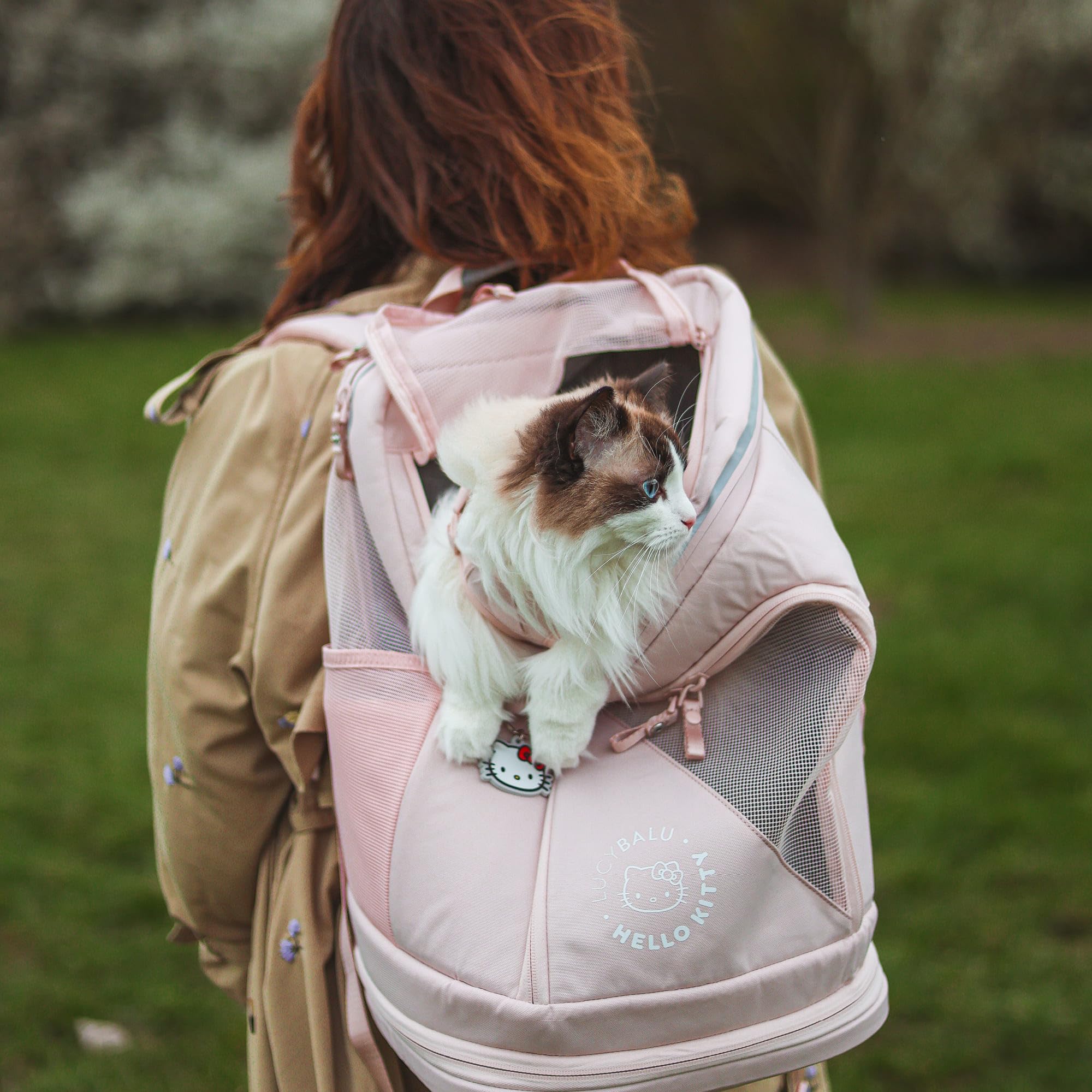LucyBalu® HOP-ON Premium Katzenrucksack mit Fenster | Katzentransporttasche | Katzenbox | Katzen Transport Rucksack aus recycelten Materialien | Rucksack für Katzen zum Transport | Anthrazit