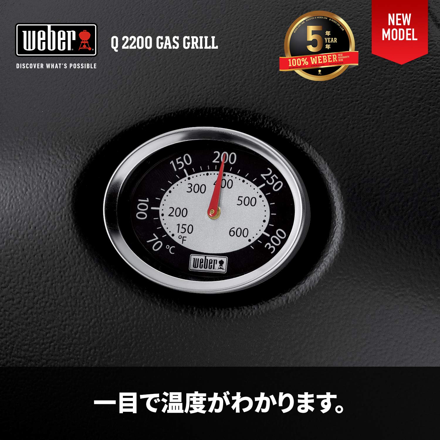 Weber 540100Jpn BBQ Free Standing Grill Q2200 Natural-Gas-Powered