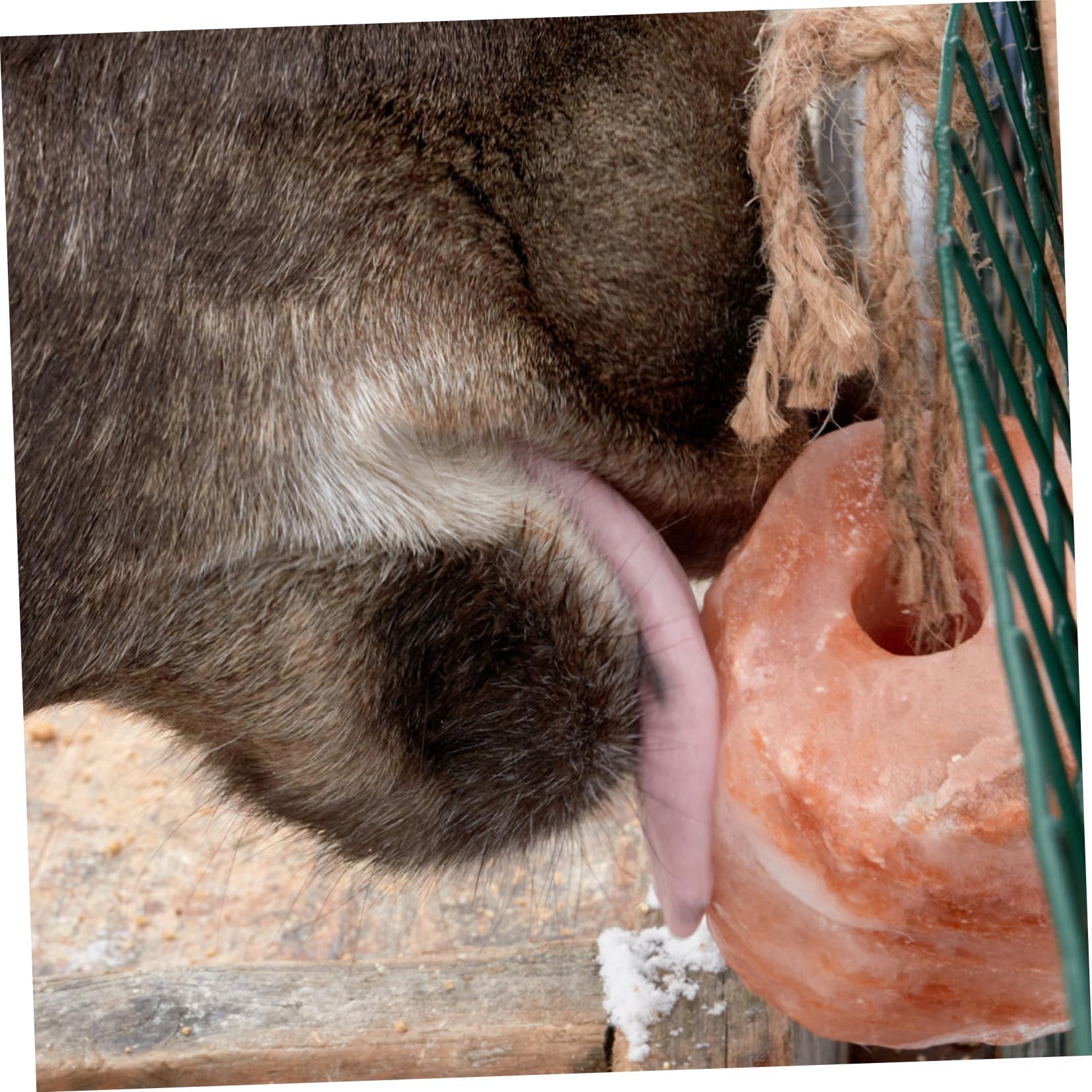 Brique de Sel Naturel à Lécher en Fourniture Agricole Pratique pour Animaux D'élevage Suspendue Adaptée Bétail Animaux de Compagnie