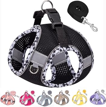 Petank Step in Dog Harness No Pull and Leash for Small Medium Dogs Cats.