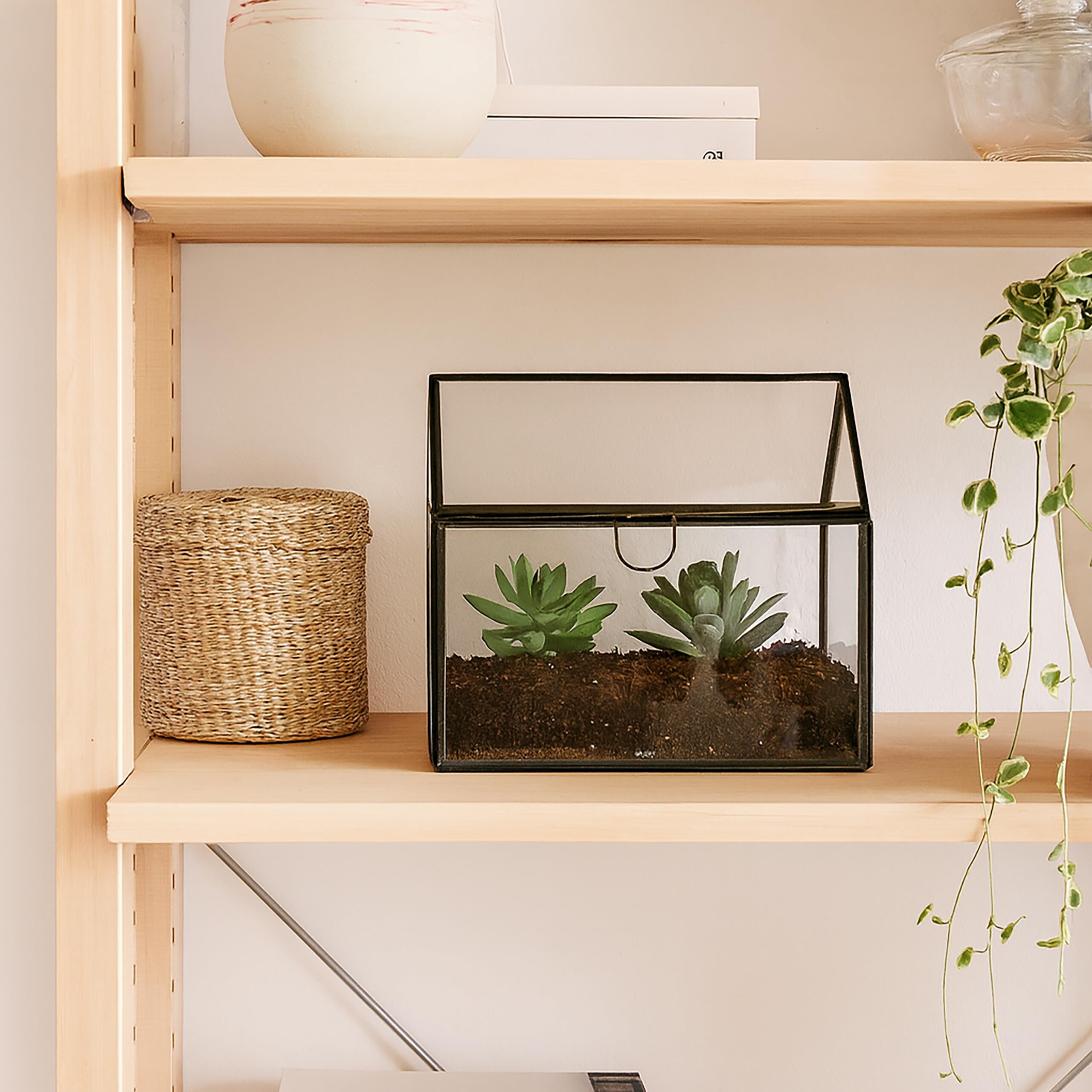 Terrarium Insecte HERCHR Terrarium Plante En Verre, Terrarium Verre Plante Micro Paysage Decoratif Pour Jardin Bureau Patio Balcon, 18 X 15 X 18cm Plante Terrarium