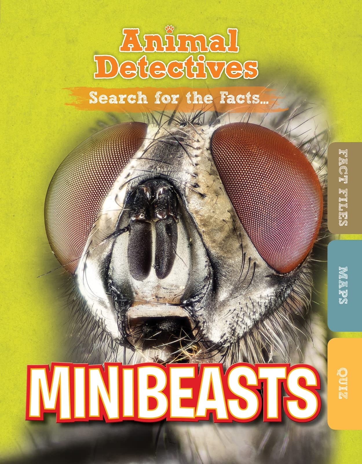Minibeasts by Anne ODaly