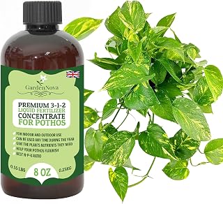 Premium Liquid POTHOS Plant Fertilizer - 3-1-2 Concentrate for Indoor Pl...