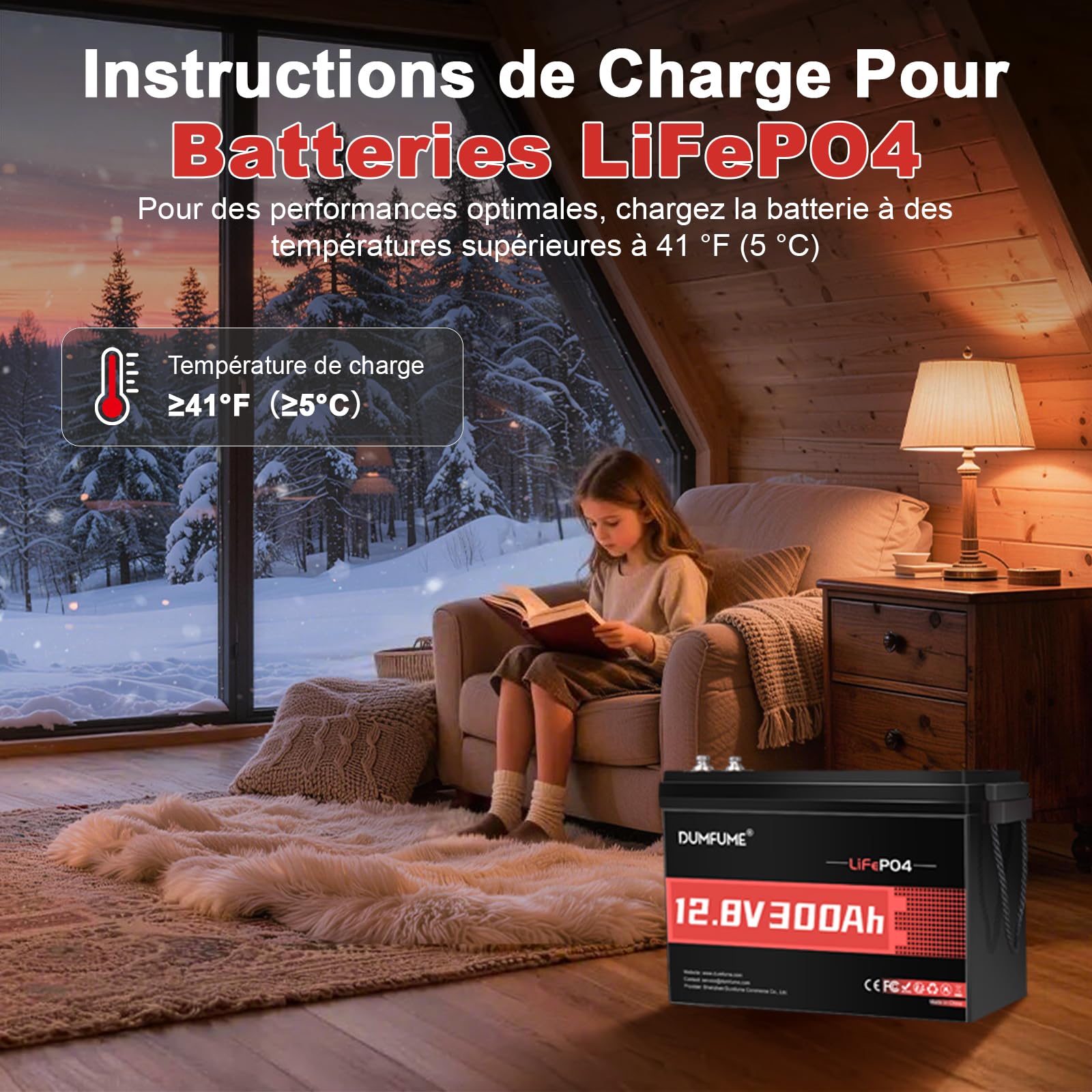 Batterie Lithium 12V 300Ah Lifepo4 - BMS 200A 3840Wh | Batterie Fer Phosphate Rechargeable Pour Stockage D'éNergie Solaire, Alimentation De Secours, Camping-Car, Camping
