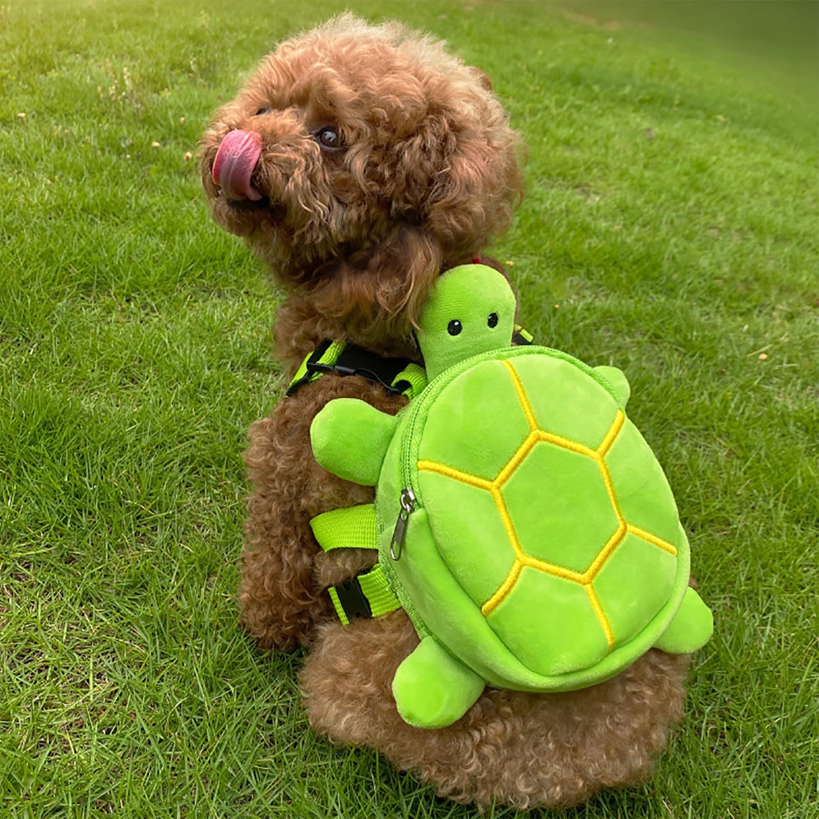 Zaino con imbracatura per cani a forma di tartaruga carino, regolabile, borsa da sella per cuccioli, impermeabile, indossabile da solo, con cerniera, forma creativa, chiusura a cerniera, lunga
