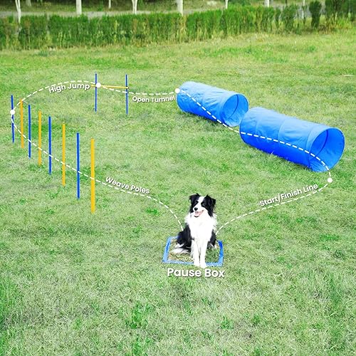 Miniatura 5 de Yiotl Kit de inicio de entrenamiento de agilidad para perros en el patio trasero con juego interactivo, saltos de agilidad, bastones de tejido,