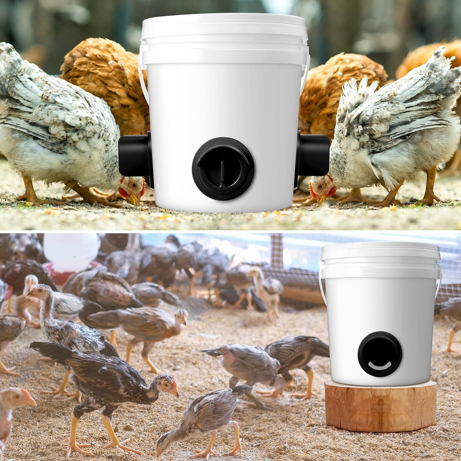Buy 20 Ports Chicken Feeder No Waste, DIY Chicken Feeder Port Automatic Poultry Feeder Rain