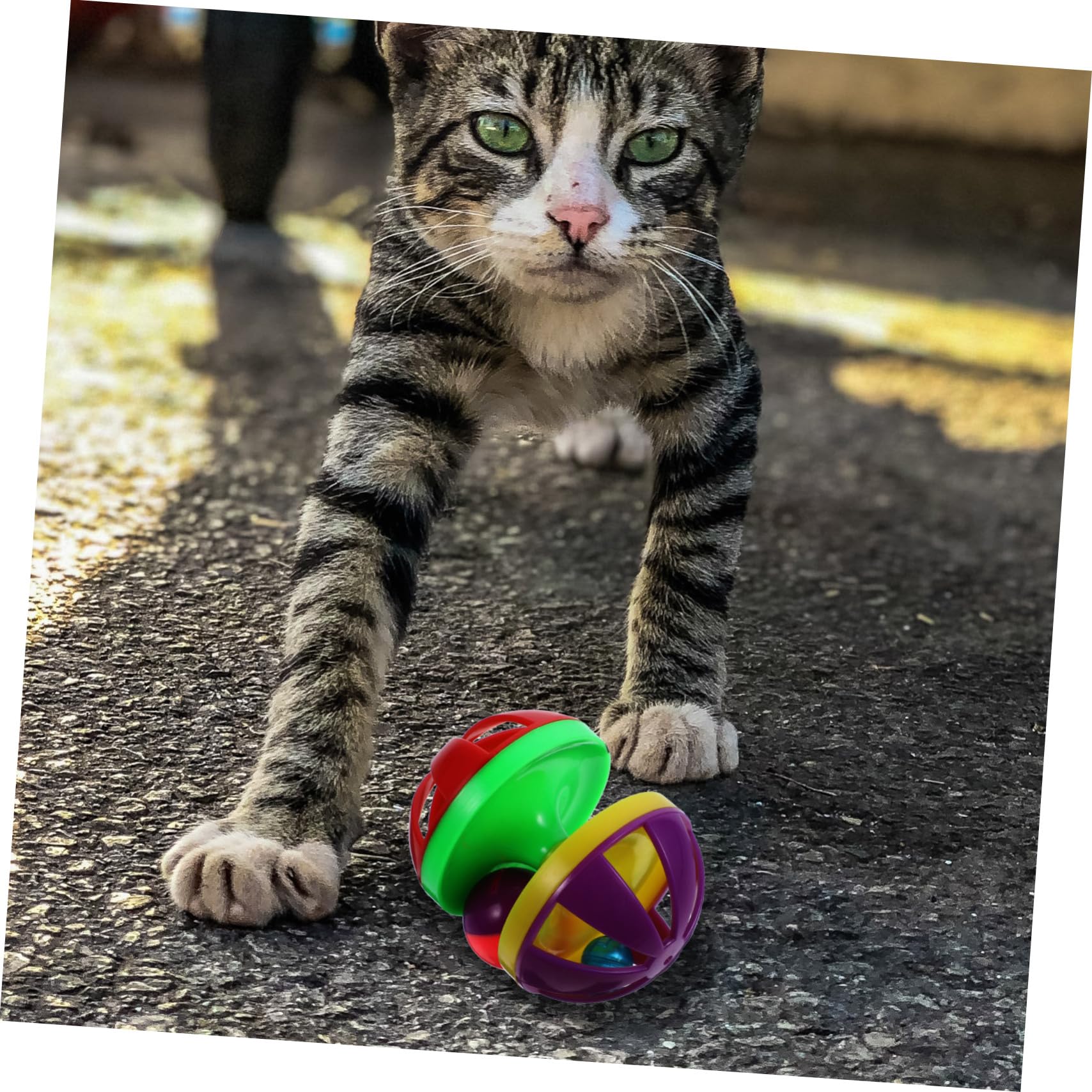 Totority 4Pcs Cat Bell Balls Interactive Teasing Balls for Cats Durable Plastic Design Engaging Pet Activity Colors Present for Cat Lovers