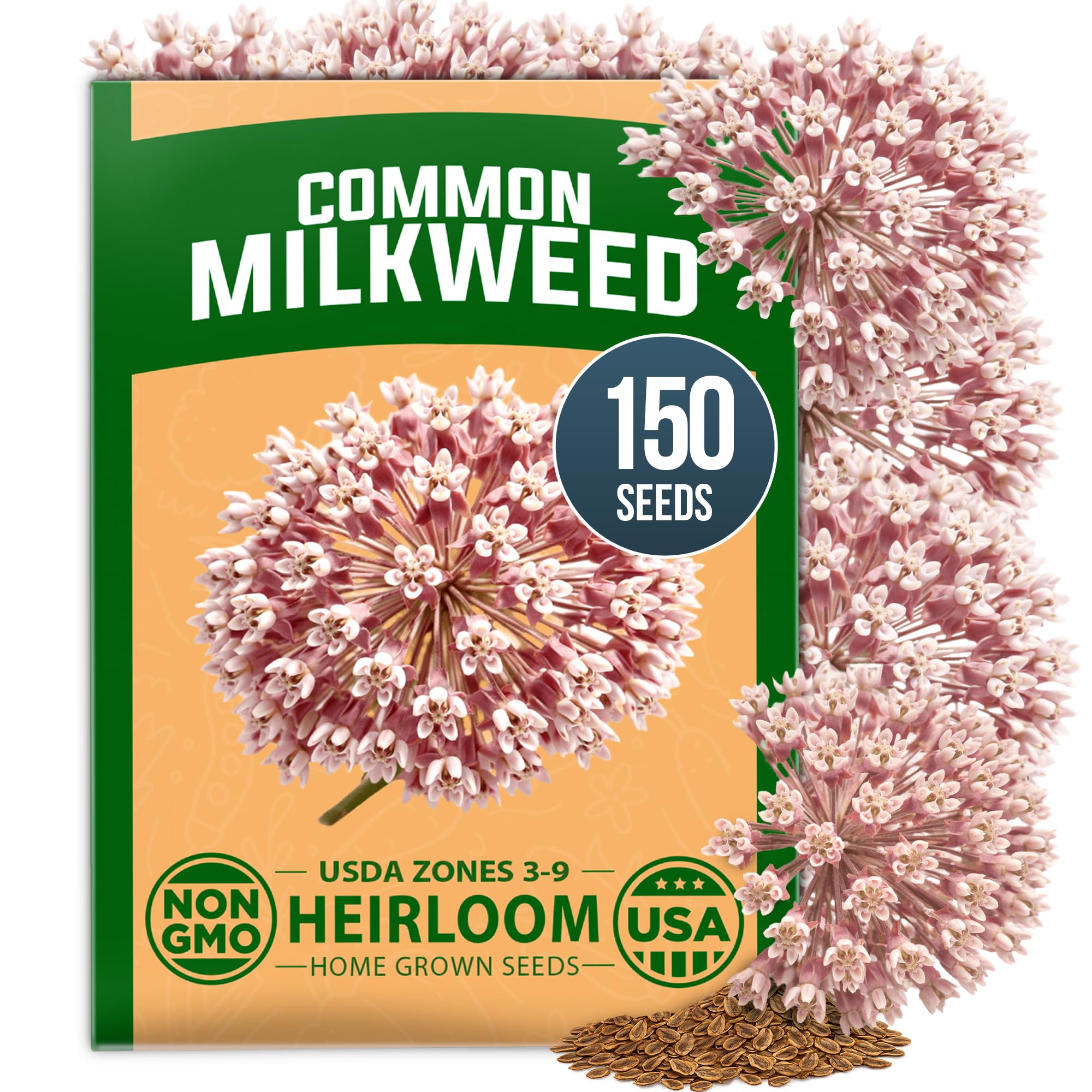 HOME GROWN Common Milkweed 150 Flower Seeds Asclepias syriaca