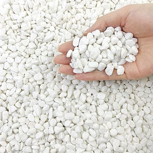 Miniatura 1 de FANTIAN Guijarros de gravilla blanca natural de 5 libras para cactus suculentos, rocas blancas de 38 pulgadas para plantas, rellenos de jarrones,