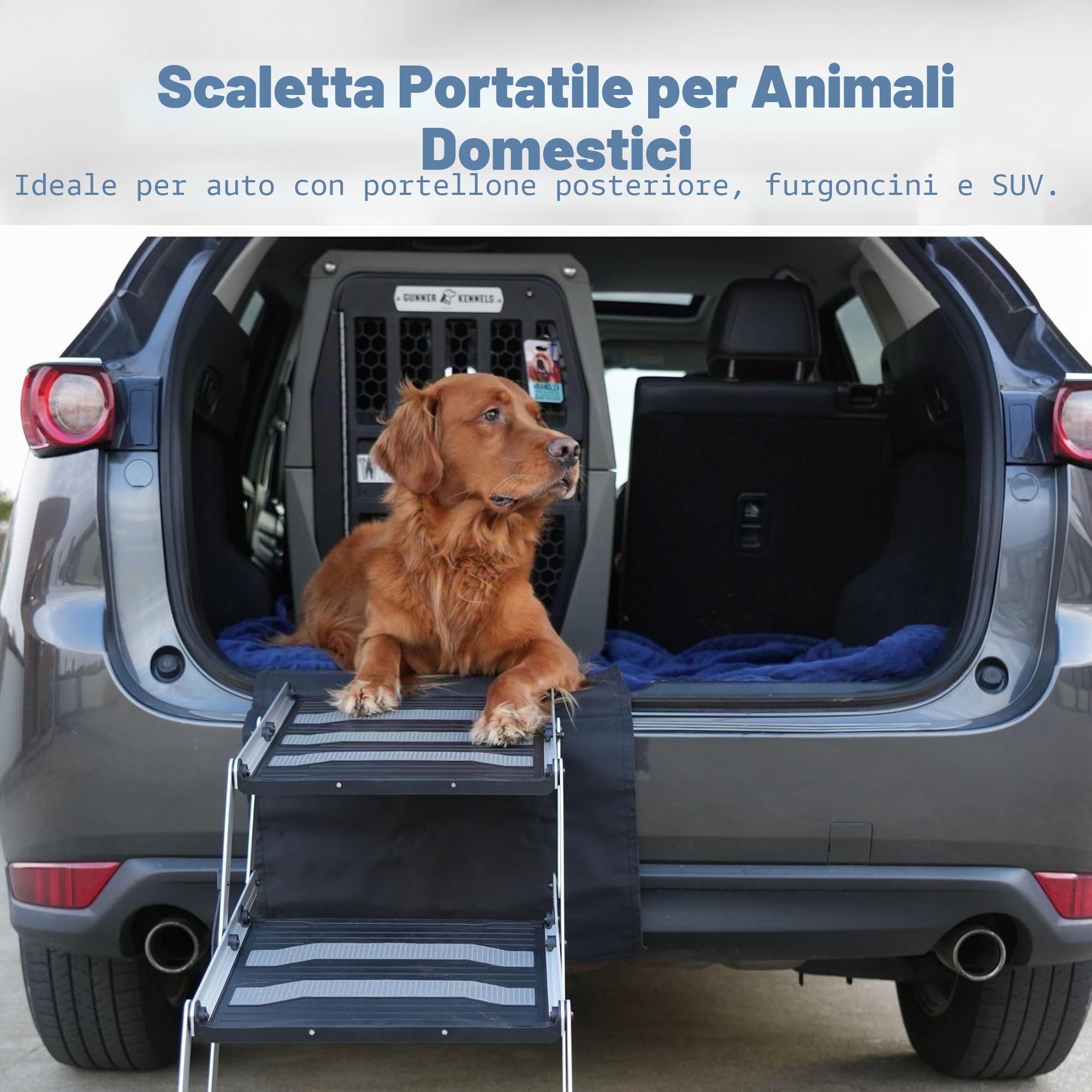 TRIXIE Scaletta pieghevole resistente a 4 gradini per animali domestici, in alluminio leggero, scala portatile, gradini per animali domestici