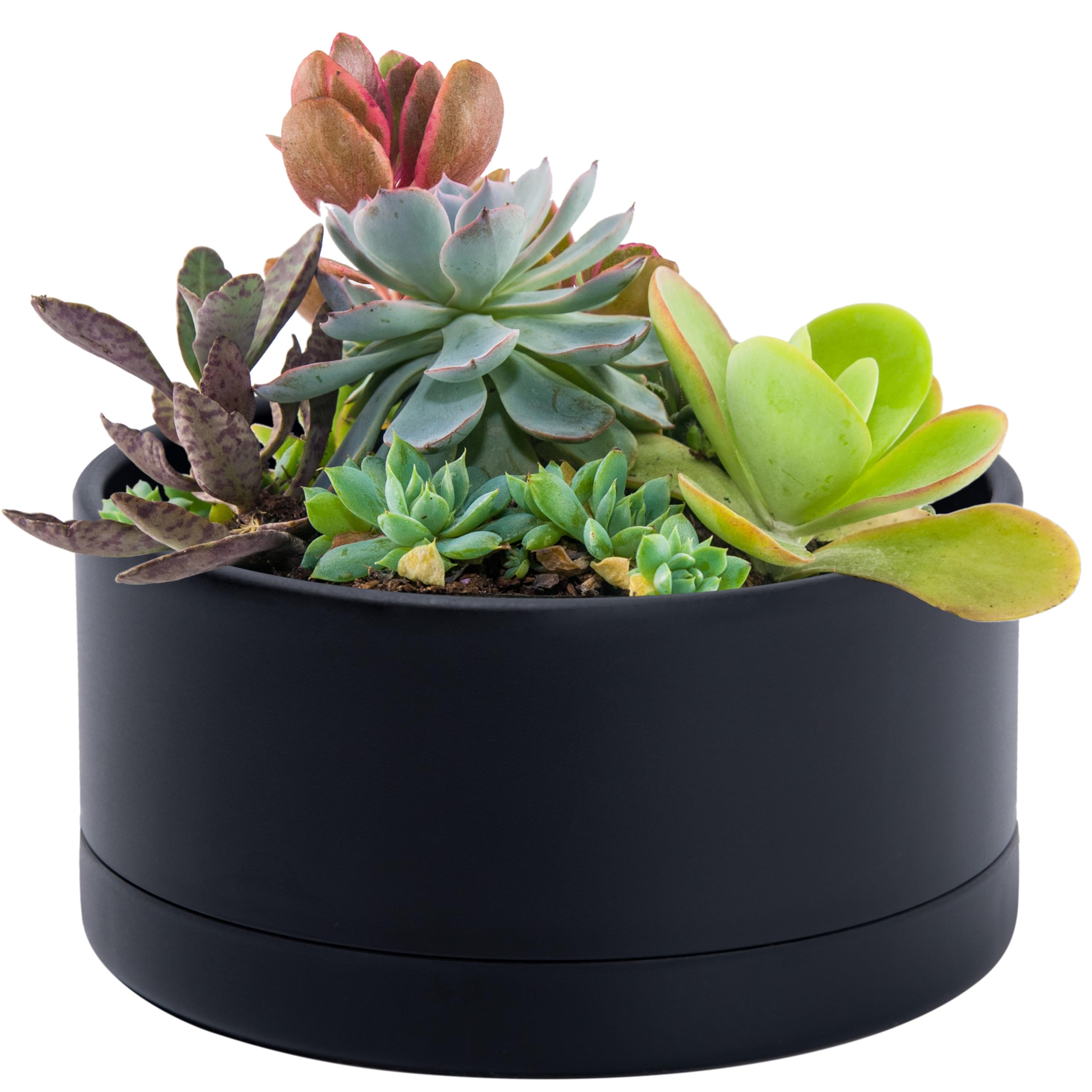 Pot de fleurs rond noir au design épuré pour végétaux d'intérieur