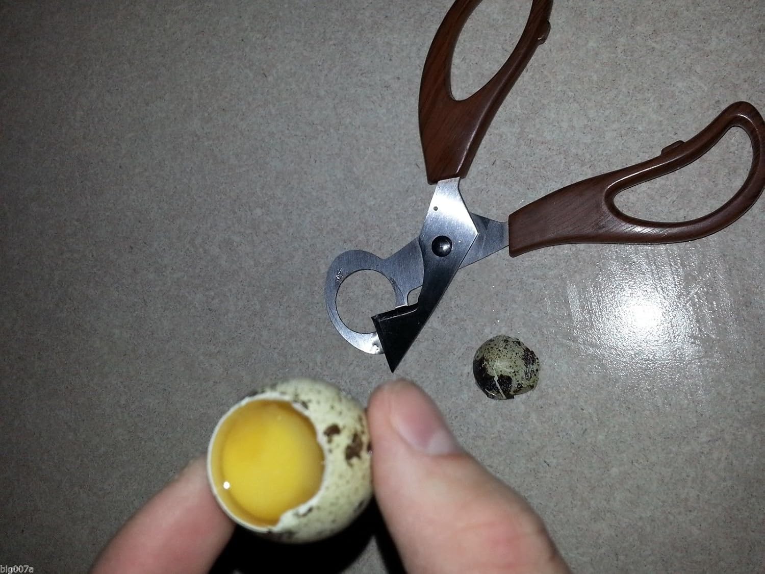 2 Pcs Stainless Steel Blade Quail Egg Scissors/Cigar Cutter