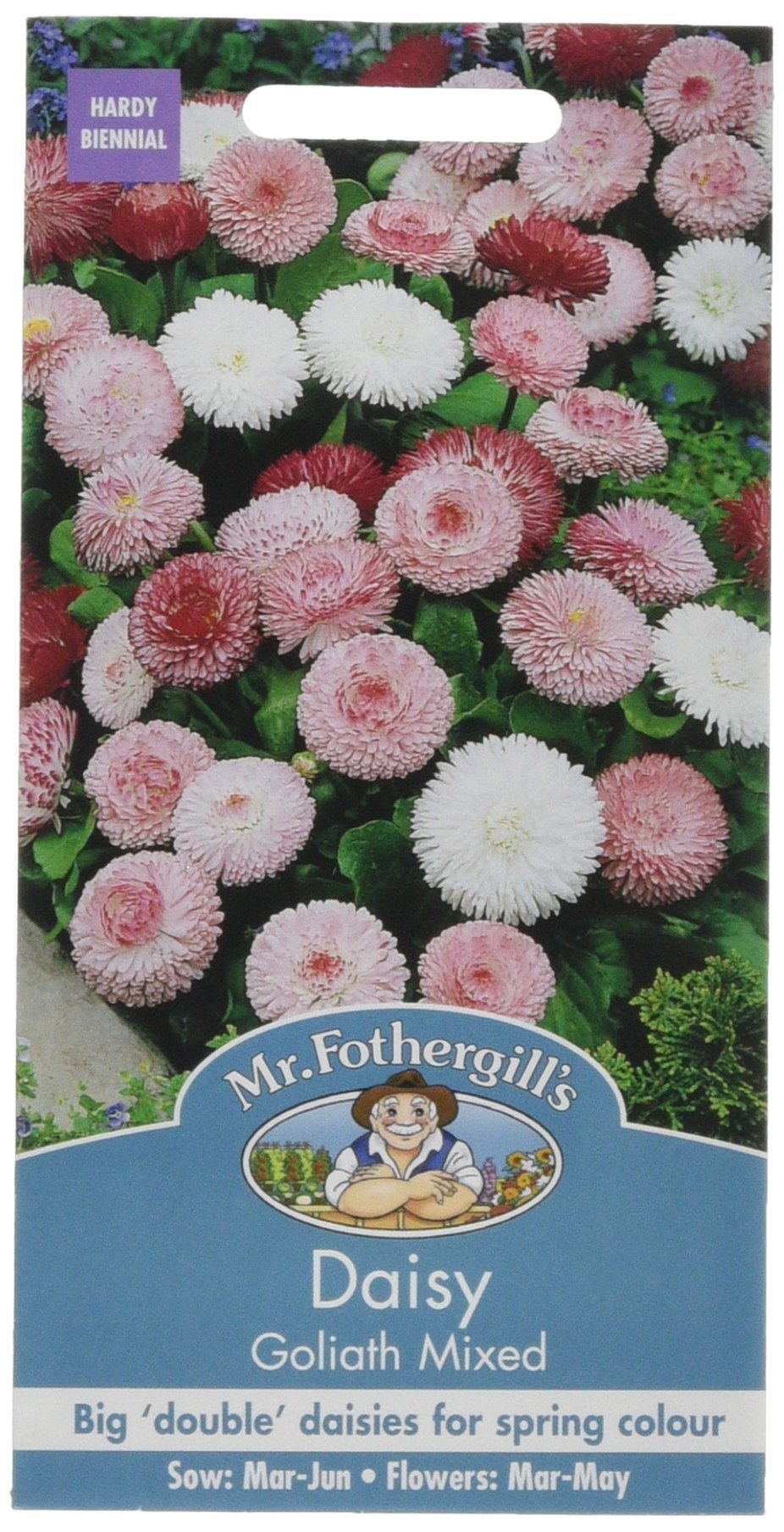 Mr Fothergill's 15749 Flower Seeds, Daisy Goliath Mixed