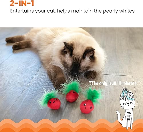 Miniatura 2 de Catstages - Juguete de salud dental para gato con hierba gatera, de malla, modelo Straw-Babies, rosa, paquete de 3