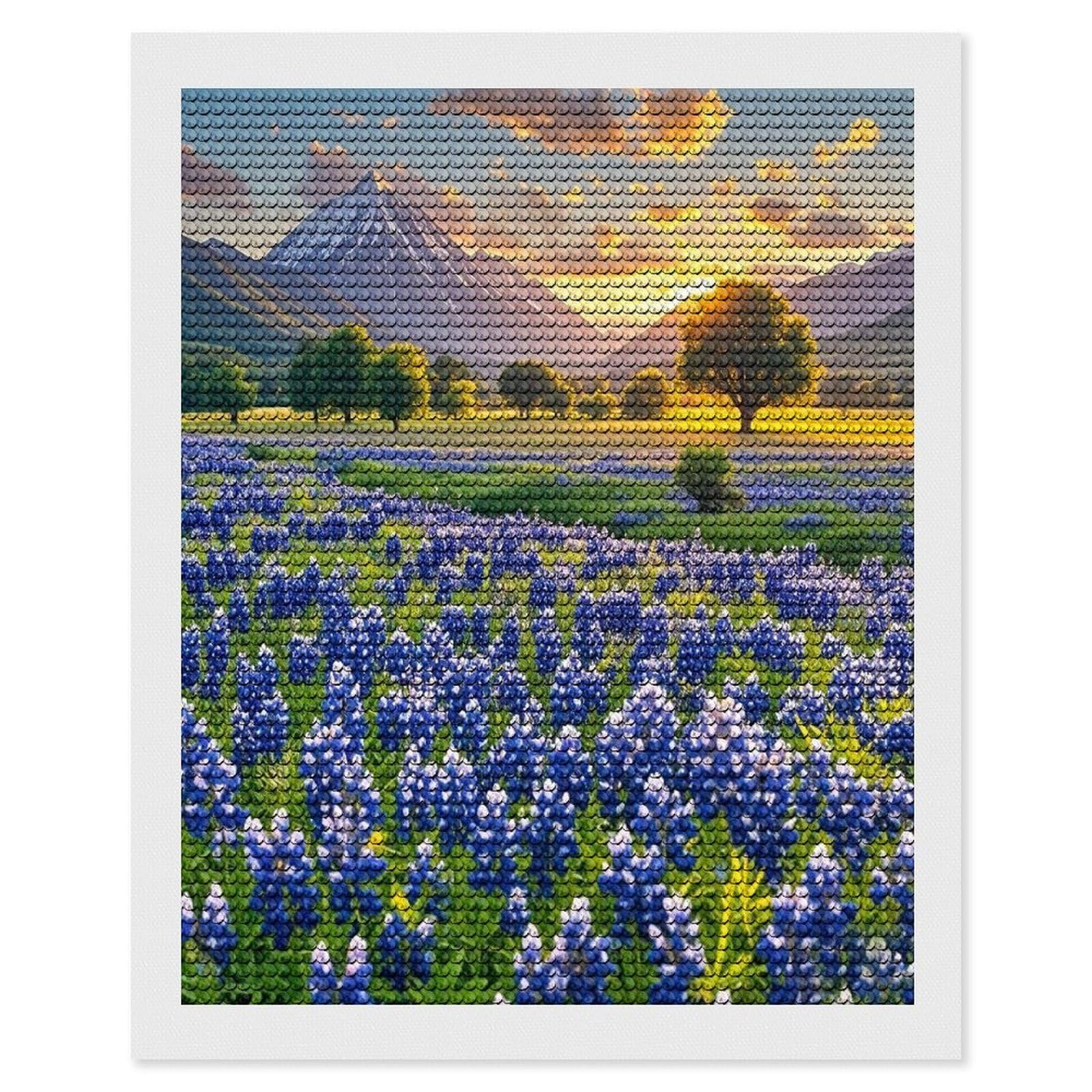 FekiLoot Texas Bluebonnets Scenery Diamond Painting Kits for Adults Full Round Drill Diamond Art Kits for Beginners 5D DIY Diamond Dots Paintings Diamonds Pictures Gem Art Home Wall Decor 16"x20"