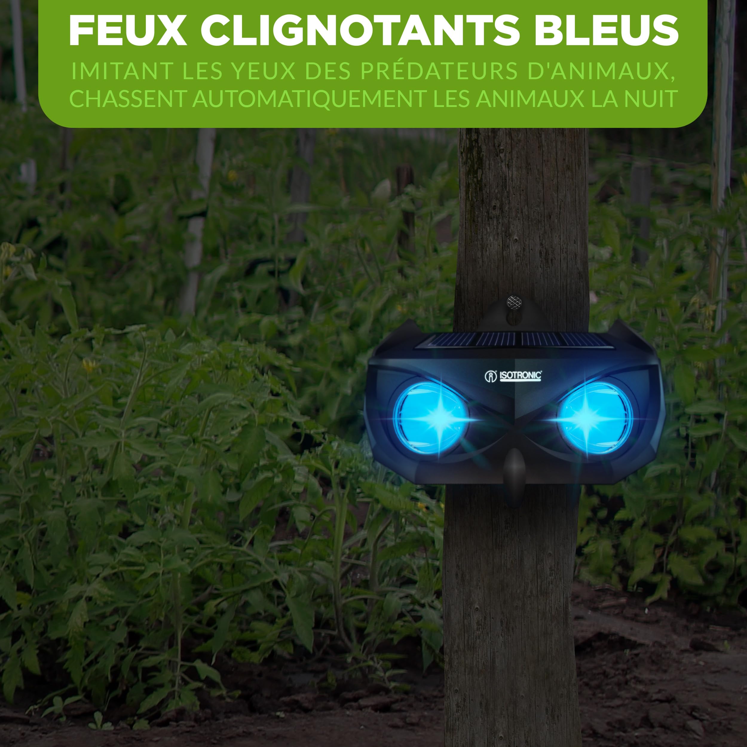 ISOTRONIC Répulsif Solaire ratons laveurs, Cerfs, Renards et sangliers – Protection Animaux Sauvages avec LED Bleue – Dissuasion Efficace portée 40 m² – Lot de 4 pièces pour Jardin et extérieur
