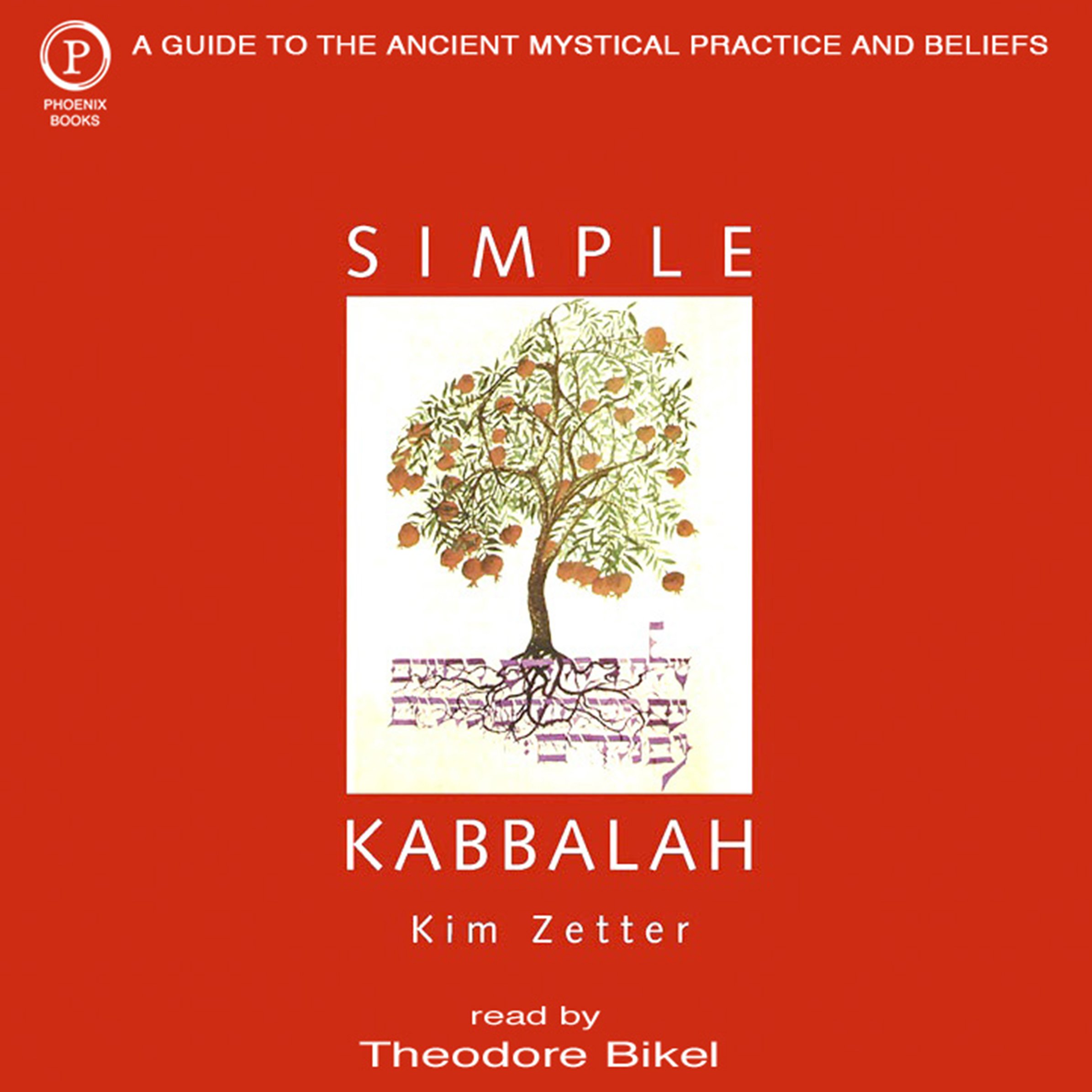 Cover art for Simple Kabbalah