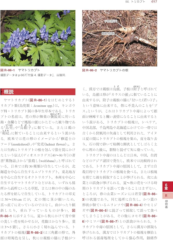 臨床中毒学 第2版 Amazon.co.jp: 臨床中毒学 第2版 : 上條 吉人: 本