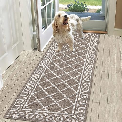 Miniatura 139 de HEBE Tapete para puerta interior, 20 x 32 pulgadas, antideslizante, para puerta delantera, lavable, atrapador de suciedad para entrada, tapete