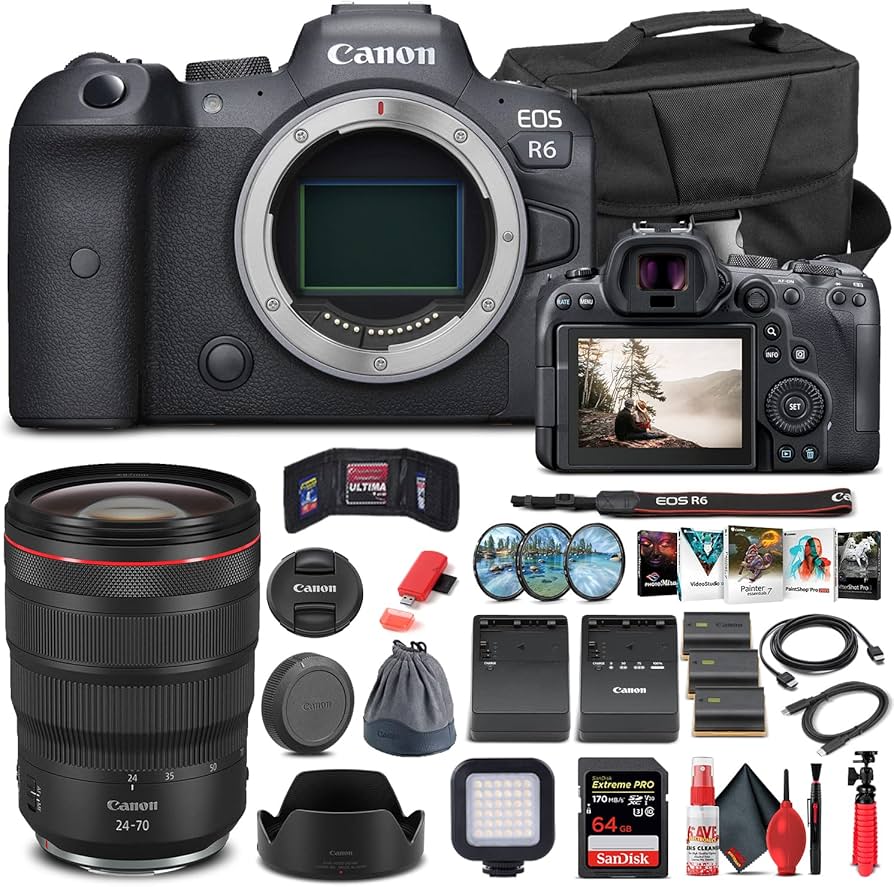 Amazon.com : Canon EOS R6 Mirrorless Digital Camera (Body Only