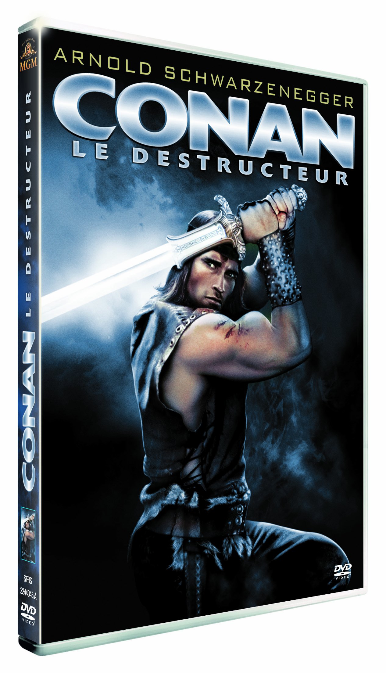 Conan le destructeur [DVD]