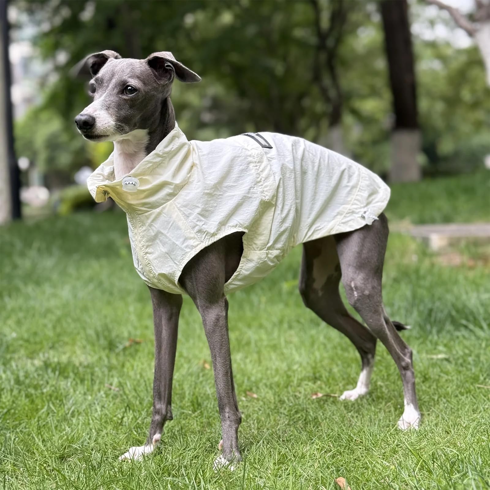 Sonnenschutz Hund Shirt, Sommer Cool Light Jacke Mit Reißverschluss, Schnelltrocknen Ärmelloses Dünnes T-Shirt Für Greyhound
