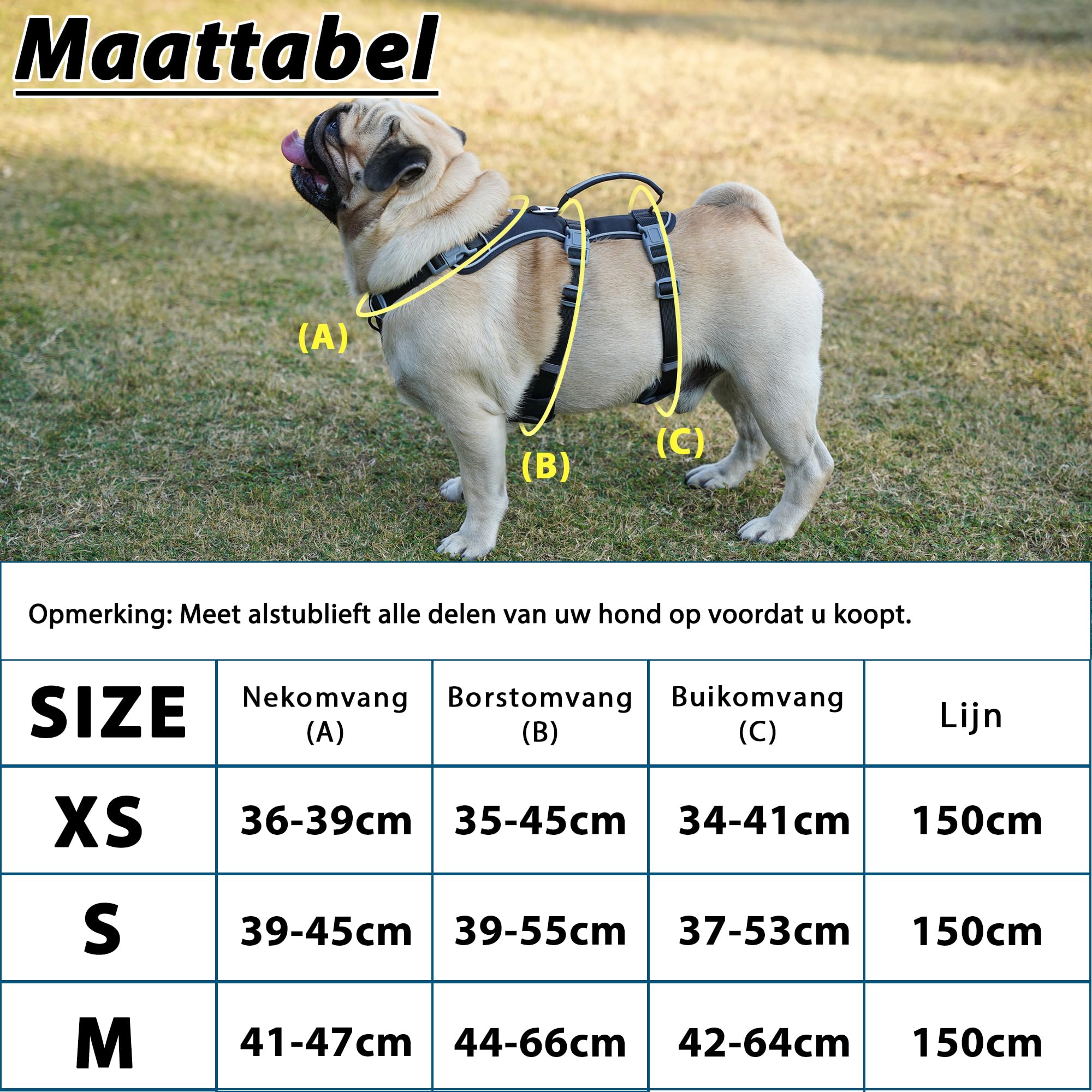 Wuffley Escape Proof Honden Harnas en Lijn Set, Lichtgewicht Honden Harnas met Til- en Hulphandvat, Geen Trek Reflecterend Huisdier Vest voor Kleine en Middelgrote Honden (Blauw,S