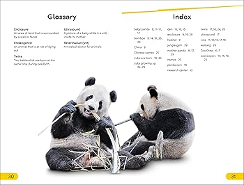 Amazon.com: DK Super Readers Level 2 The Great Panda Tale