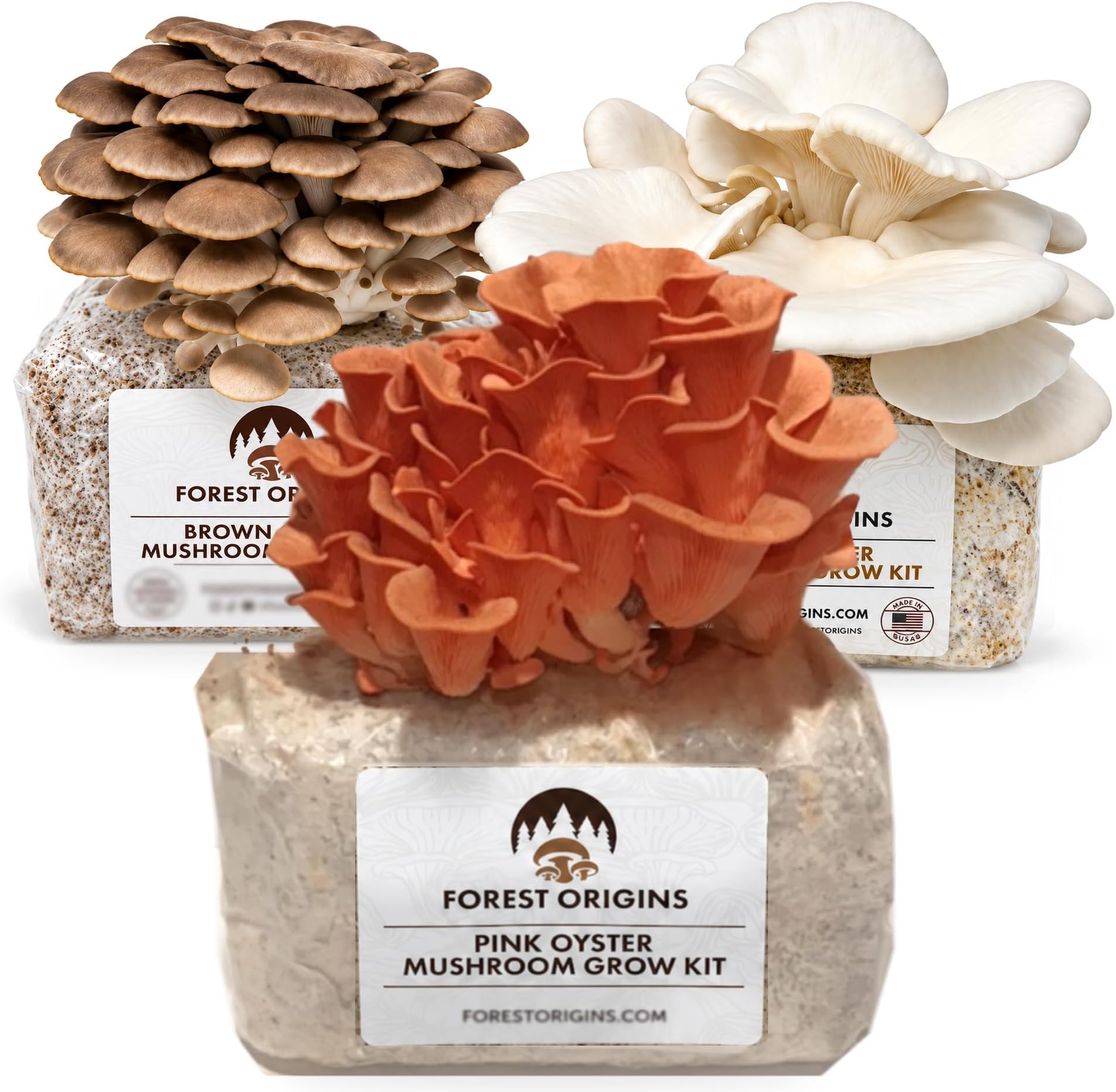 Forest Origins Specialty Trio Oyster Mushroom Kits, Pink Brown White 3-Pack