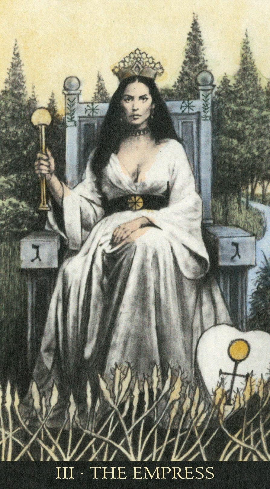The soul seeker tarot. Con Libro in brossura