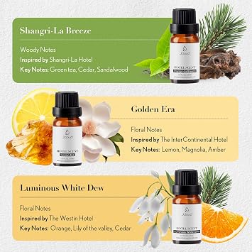 JCLOUD Hotel Diffuser Oils Set, Top 6 Luxury Hotel Inspired, 6x10mL