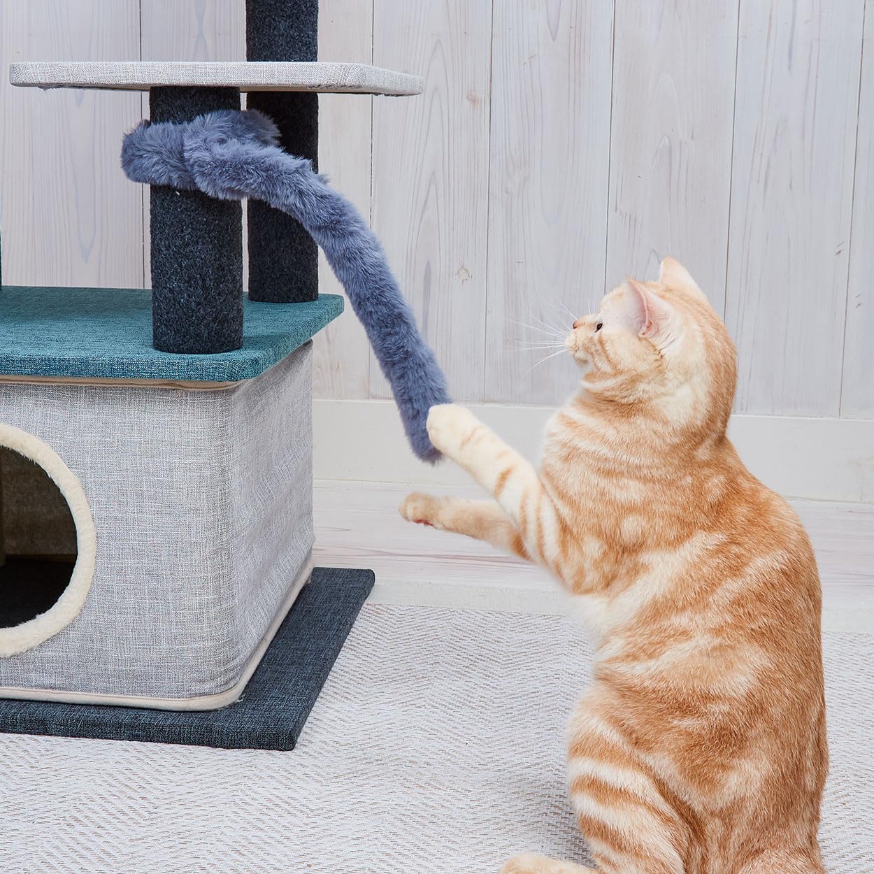 Amazon | ペティオ (Petio) 猫用おもちゃ にゃんプロ猫じゃらし となり