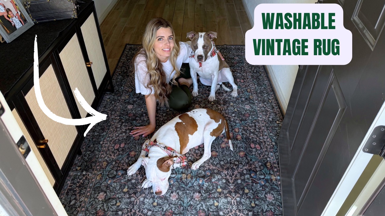 Watch My Review of Hazo Haus 5x8 Vintage Area Rug on Amazon Live