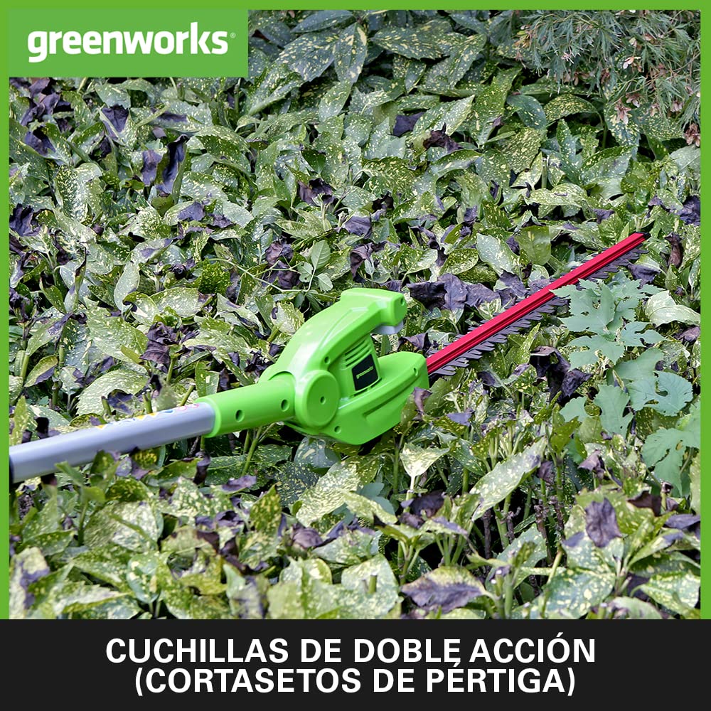 Greenworks G24PSHK2 2/1 Sierra y Cortasetos Pértiga a Batería, Correa Hombro, Barra Pértiga 20cm, Cortasetos 51cm, Cuchillas Doble Acción, Batería 24V 2Ah y Cargador, 3 Años de Garantía