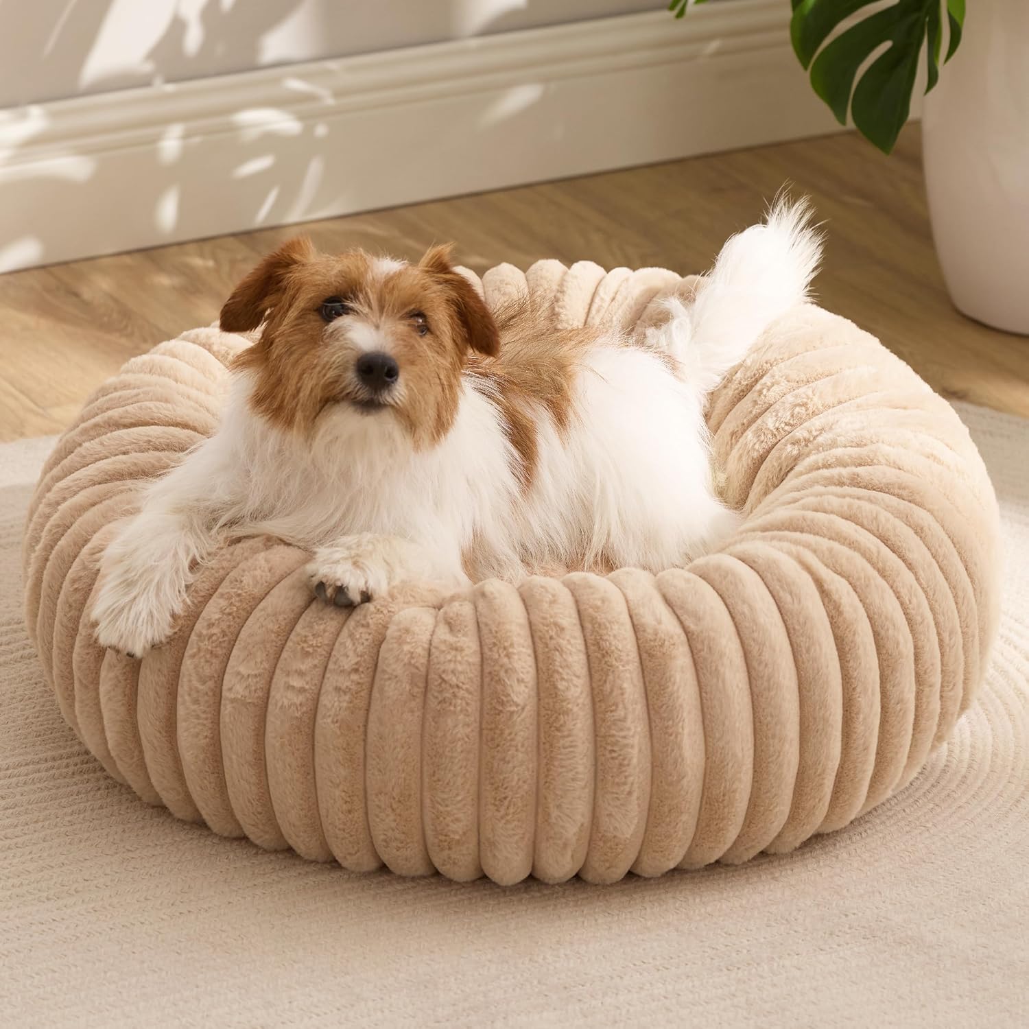Bedsure Donut Small Dog Bed – Dog Beds for Small Dogs with Corduroy Fleece & Anti Slip Bottom, Round Faux Fur Pet Beds with Washable Removable Cover, Sandy Tan, 27x27x8 inches Bedsure Donut Small Dog Bed – Dog Beds for Small Dogs with Corduroy Fleece & Anti Slip Bottom, Round Faux Fur Pet Beds with Washable Removable Cover, Sandy Tan, 27x27x8 inches