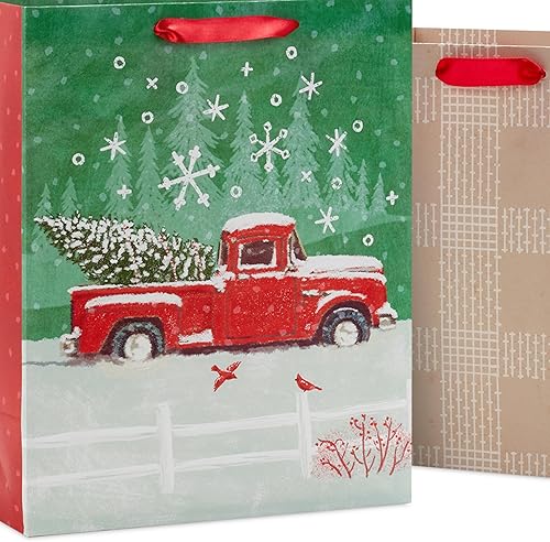 Miniatura 16 de Hallmark - Bolsa de regalo con papel de seda para fiestas (tamaño pequeño)