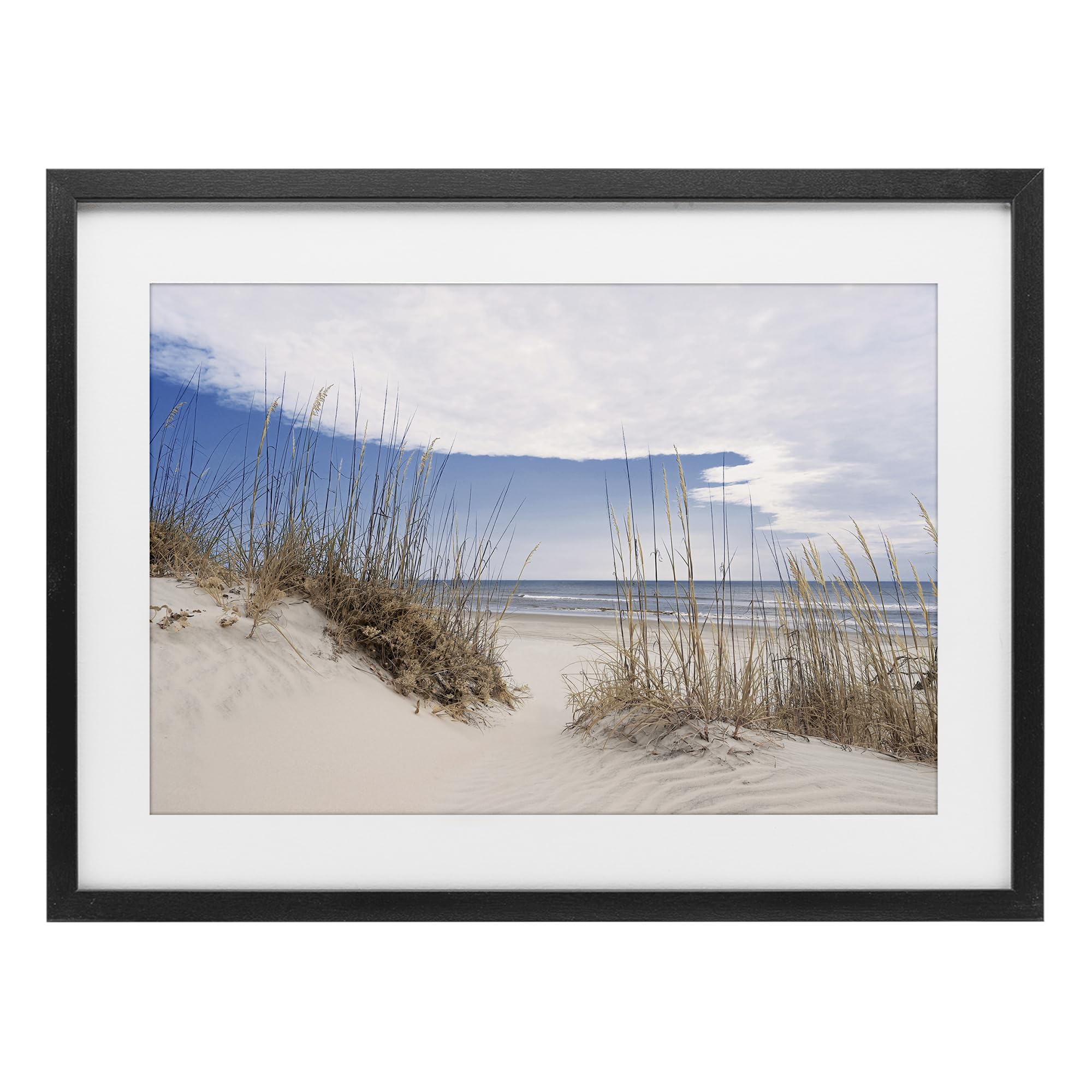 'Sea Oats Along Sandy Dunes'| Framed Print Under Glass